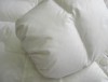 エットクリーニング（水洗い）を施して、丹念に汚れを取り除く
