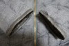 【Before】