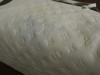 青色の色移りをしています