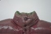 【Before】