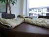 【Before】