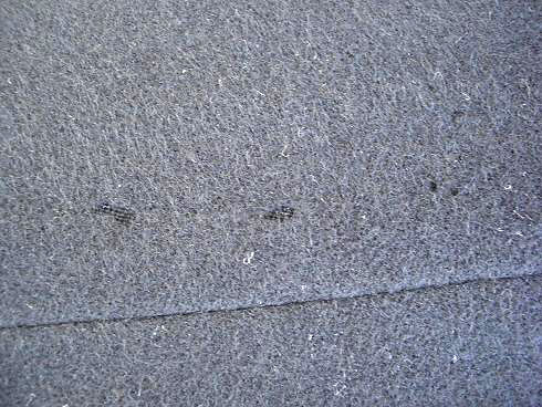 表面の起毛部分がなくなって下地が見えている状態