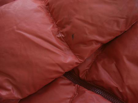 ダウンのボリュームがなくなったというご相談と同じくらい多いのが、光沢の低下と色褪せ