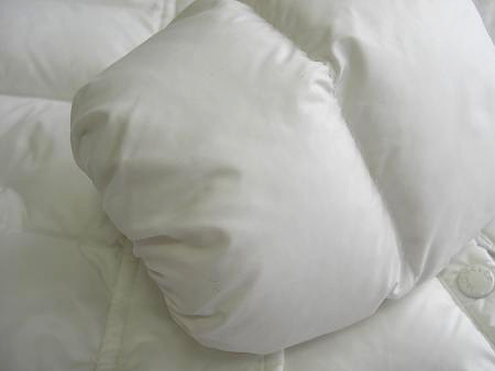 エットクリーニング（水洗い）を施して、丹念に汚れを取り除く