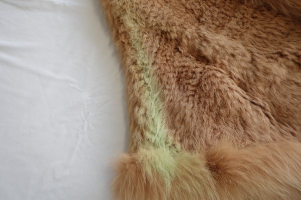 【Before】部分染色