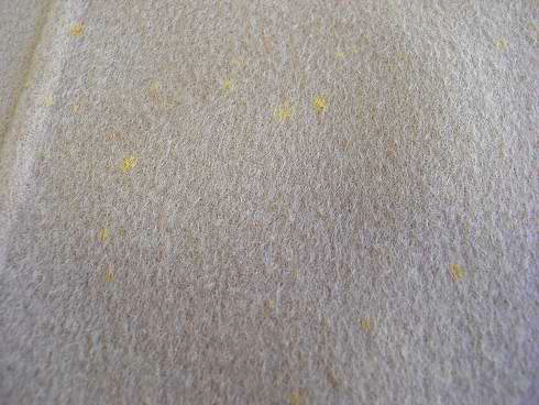 湿気の多い所に保管していたため、表面に黄色くカビが繁殖している