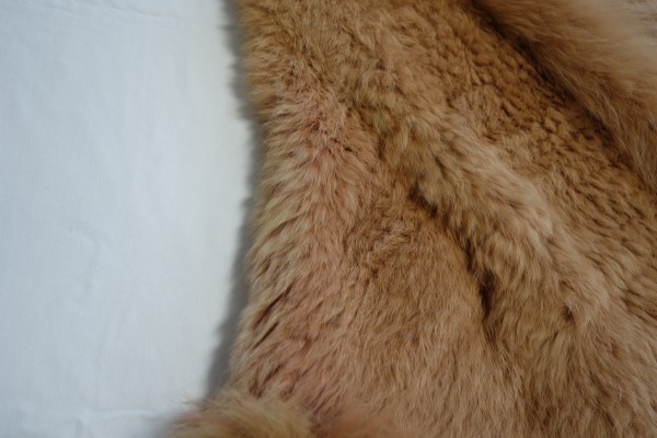 【After】部分染色