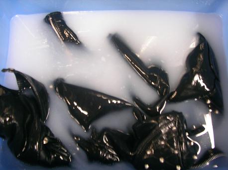 革への栄養補給