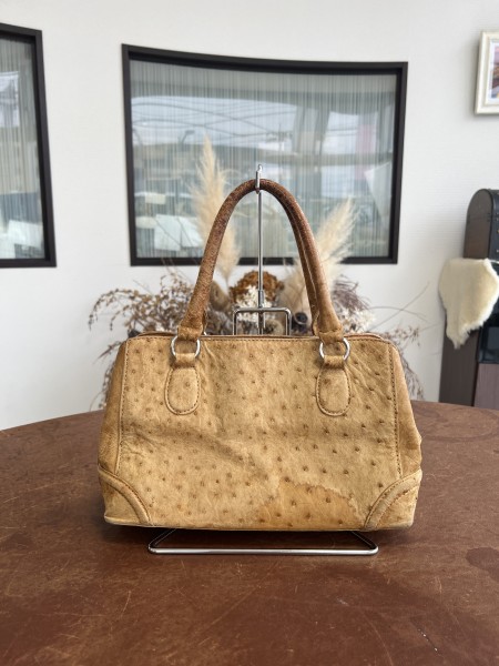 【before】オーストリッチ退色