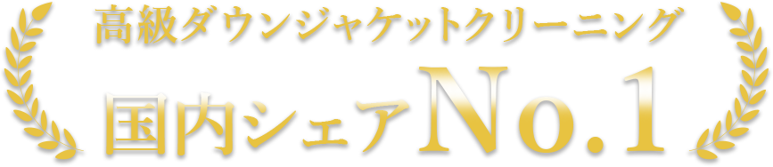高級ダウンジャケットクリーニング 国内シェアNO.1