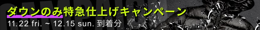 ダウンのみ特急仕上げキャンペーン
